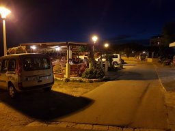 Kustići