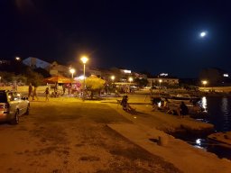 Kustići