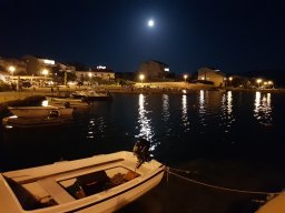 Kustići
