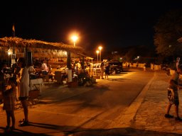 Kustići